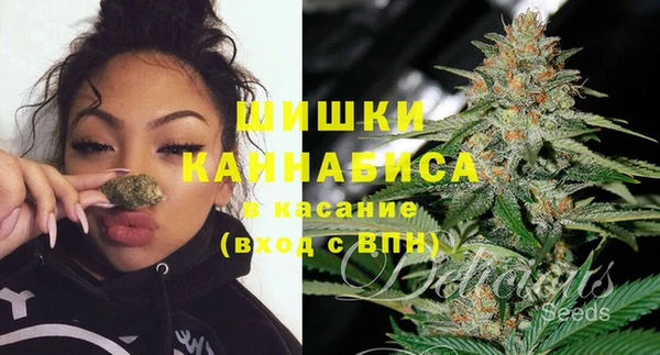 стаф Гусь-Хрустальный