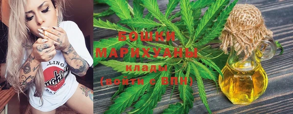 стаф Гусь-Хрустальный