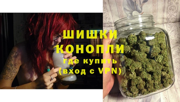 стаф Гусь-Хрустальный
