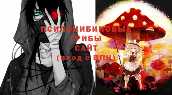 2c-b Гусев