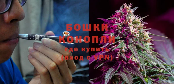 стаф Гусь-Хрустальный