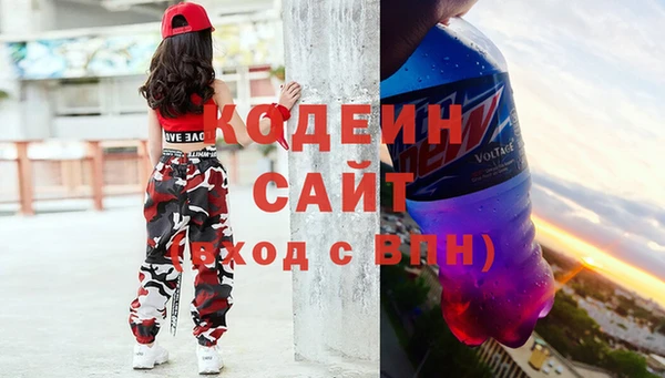 2c-b Гусев