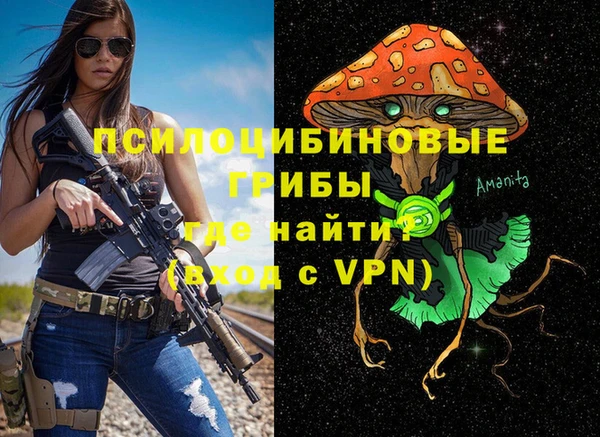 стаф Гусь-Хрустальный