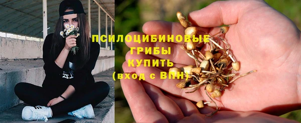 2c-b Гусев
