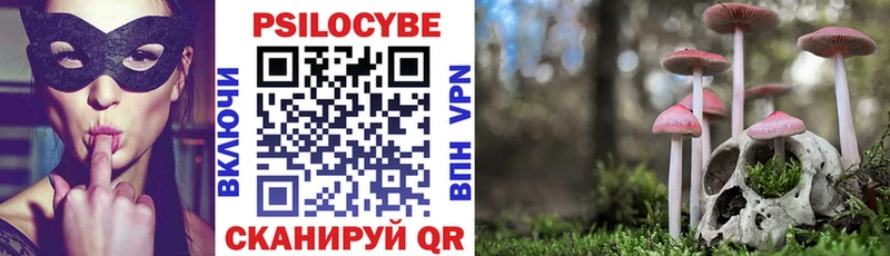 Купить закладки  Болгар  Галлюциногенные грибы Magic Shrooms 