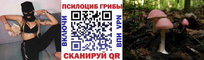 Галлюциногенные грибы Psilocybine cubensis Болгар